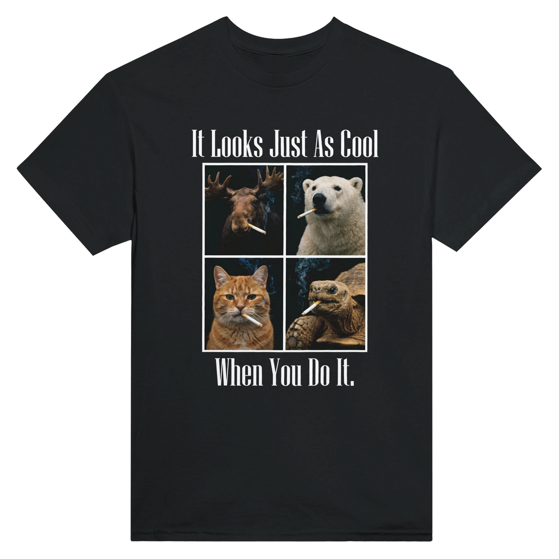 afe1dc20-d93c-423e-9b0d-0df94208434a